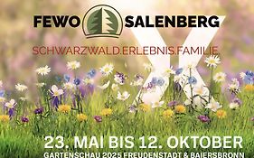 Fewo Salenberg