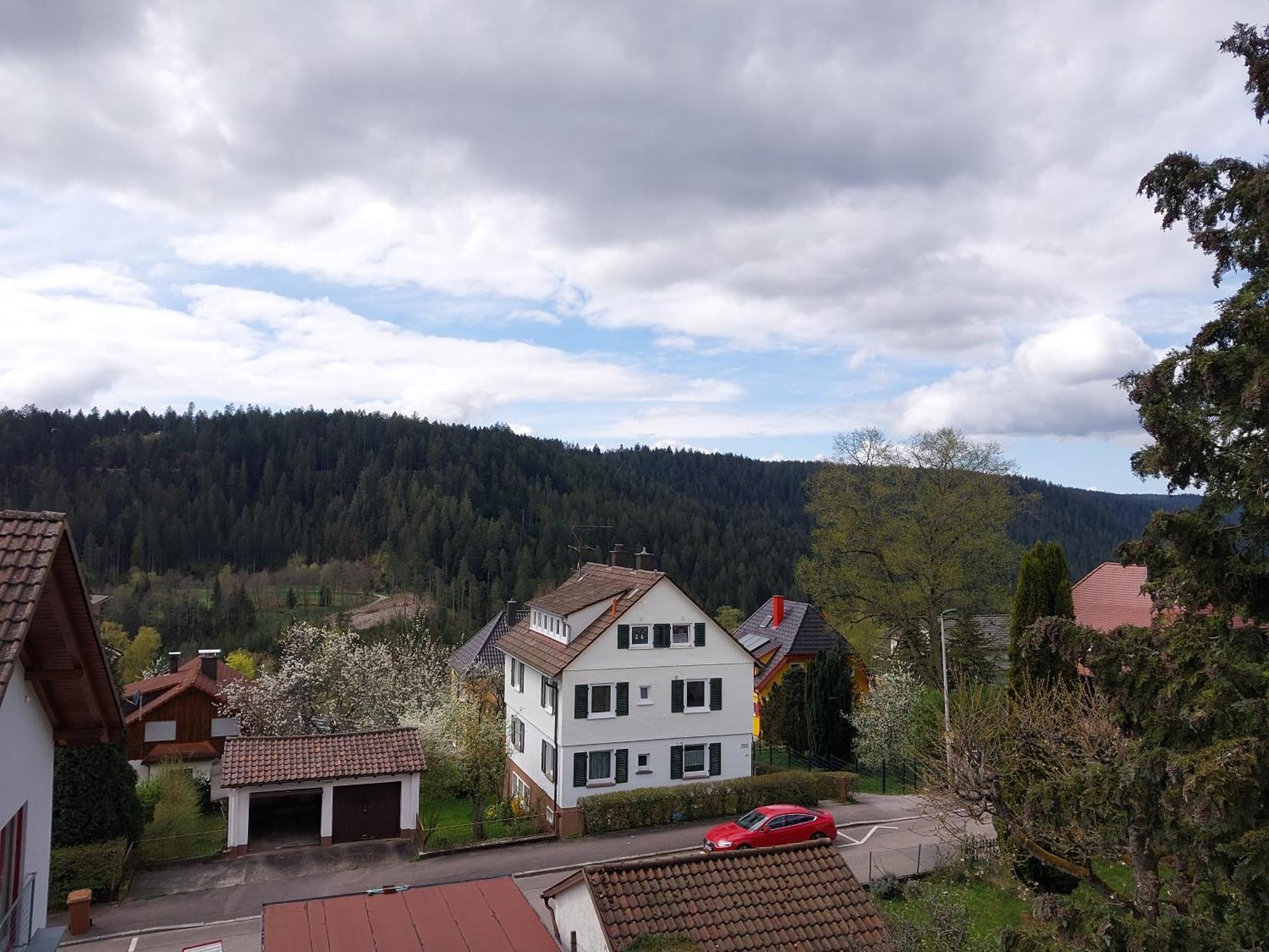 Fewo Salenberg Freudenstadt Buitenkant foto